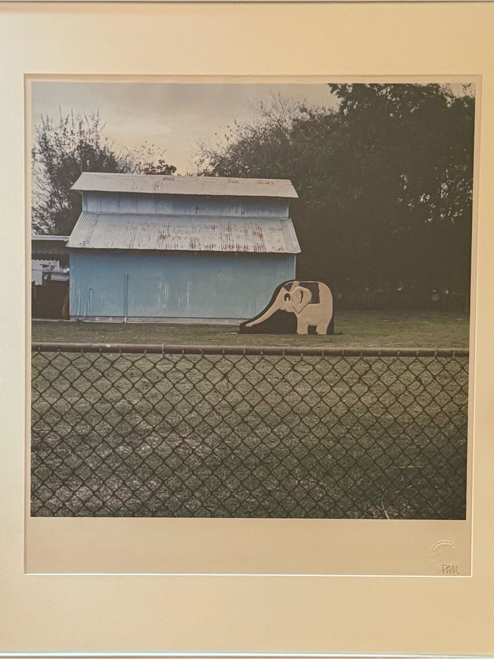 Framed Blue Shed & Elephant photograph C-Print